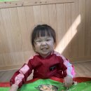하얀손비트 이미지