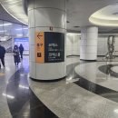 장미도서관 | 💐발렌타인데이 코엑스 나들이💐 별마당 도서관 + 박보검 전광판 실물(?) 영접 후기📚✨