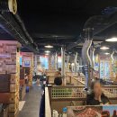 코스모노래연습장 이미지