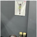 더뉴복싱