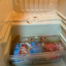 남궁한의원 | 그럭저럭도 Luck이다