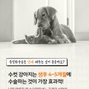 디아나동물병원 이미지