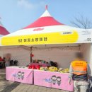 손뜨개 | 2024 논산딸기축제 후기 꼭 보고가야 할 주차 꿀팁 어린이 체험프로그램 먹거리 추천