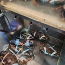 [필리핀 보라카이] 갈만한 식당, 환전소, 마트, 마사지 추천 및 후기(내돈내산)