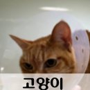 세명 동물병원 이미지