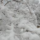 하얀세상 이미지