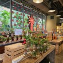 유니스의정원 보타닉하우스 이미지