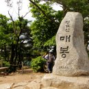 831차 산행 청계산(22. 7. 9) 이미지