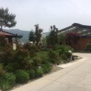 선도농장 이미지