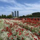 울산여행 태화강 국가정원 꽃구경 이미지