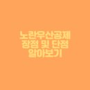 노란우산 이미지