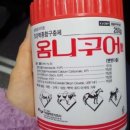 위드팜굿모닝약국 이미지