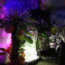 수목원테마파크 이미지