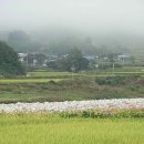 상복 농장 이미지