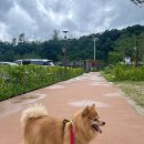 강남체육공원 이미지