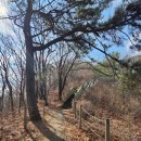 정발산동 1145-2번지 | 일산에서 꼭 가봐야 할 오마카세 맛집 총정리 완결편 7월 26일