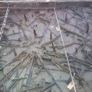 이주대학교 도구박물관 이미지