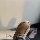 1박2일운동화빨래방 | 요번 겨울엔 내 발이 제일 귀여워 [호주 UGG 어그 타스만 체스트넛]+어그 타스만 코디
