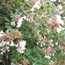 상곡마을회관 이미지