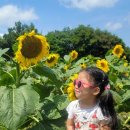 김경숙농장 이미지