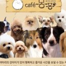 카페몽몽 이미지