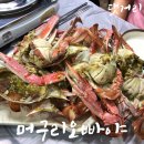 머구리오빠야 이미지