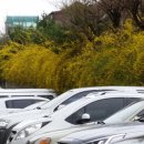 정경한의원 이미지