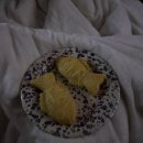 평안건설(주) | 아직도 처음인게 넘쳐난다