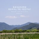 톡톡잉글리시학원