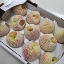 지훈농장 이미지