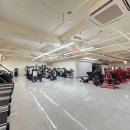 피트니스H PT 헬스 이미지