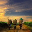 자연의 향기 이미지