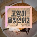 참누리동물병원 네이버블로그