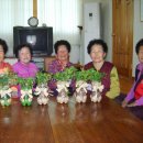 오룡경로당 이미지