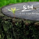 은혜이불 - 중구 문창로10번길 26 | 은혜이불