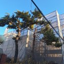 강남가설재 이미지