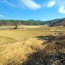 평장농장 이미지