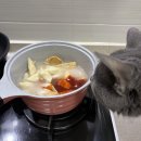 황금떡볶이 | 황금 고구마 떡볶이 후기｜떡볶퀸×빨강고구마 콜라보 밀키트 솔직리뷰