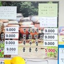 고강보리밥 네이버블로그