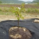 덕곡농장 이미지