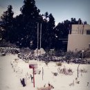 블루포니 게스트하우스 이미지