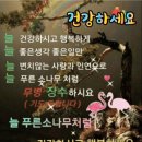 '무릎통증' 10초만에 없애주는 꿀팁 6가지 - 읽으면 좋은글 중에서 이미지