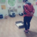 씽크독스쿨 이미지