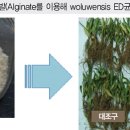 (주)디에스그린 이미지