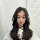 위헤어 - 정선군 서동로 2931-1 | 위헤어