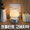 Mint인테리어 | 프롬민트 저자극 고불소 고체 씹는치약 인테리어 센서등 사용후기