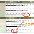 버킷리스트PT 이미지