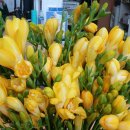 수락산역 6번출구 이미지