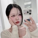 투명 화장품 수납함 내돈내산 추천 시스맥스 12칸 멀티박스 후기