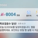 닥터포인트 | 걷기 앱 | 손목닥터9988 사용방법 & 실제 사용 후기 (포인트 변화까지)